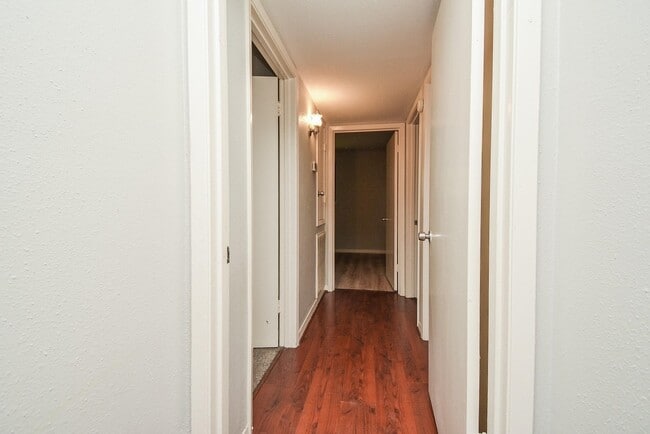 2506 Meandering Trail