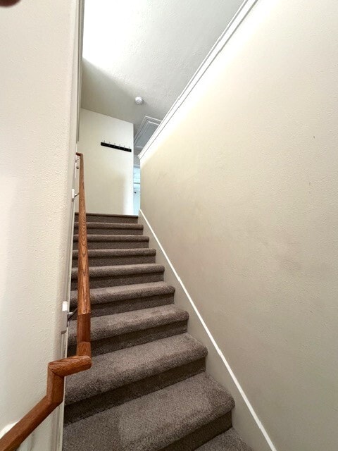 Photo - 71 E Stedhill Loop