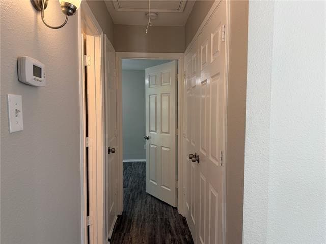 Photo - 3332 Navaro St