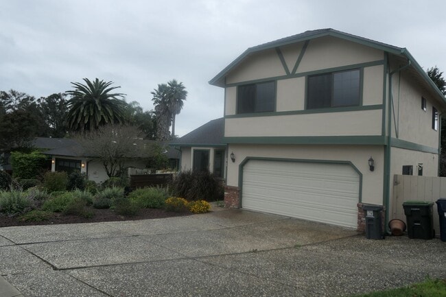 Photo - 41 Melwood St