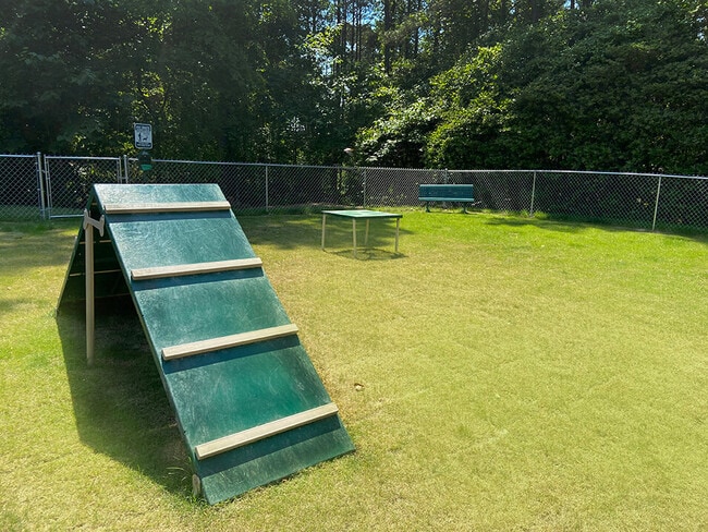 Agility Features - Tartan Place