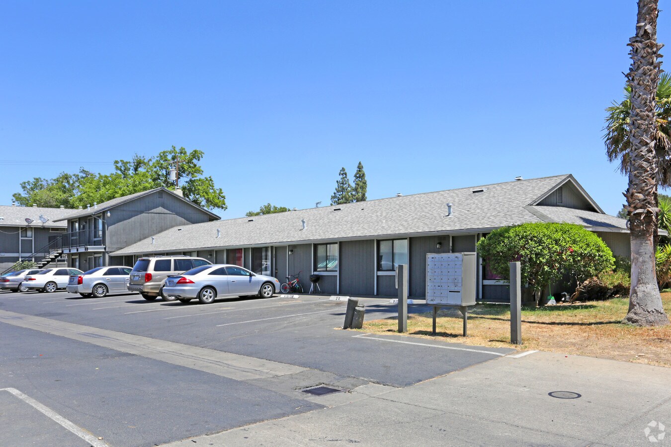 Mountain View Apartments - Mountain View Apartments