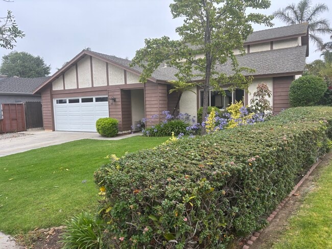 Street view - 830 Stern Ln Casa