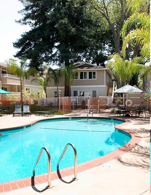 Piscina - Laurel Grove Apartments