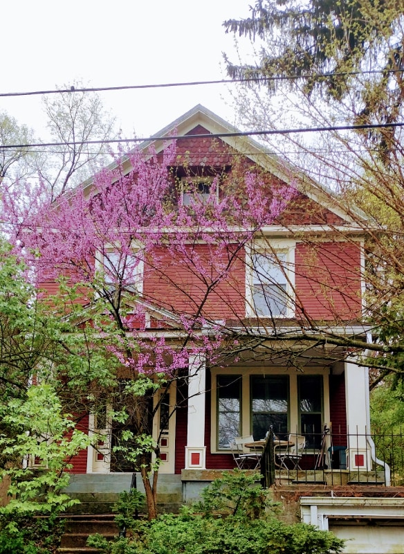 Photo - 20 Greenwood Ave