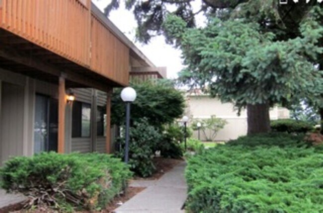 Photo - Bryn Mar Village Apartments