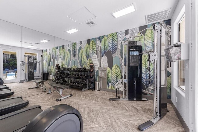 Sofi Canyon Hills