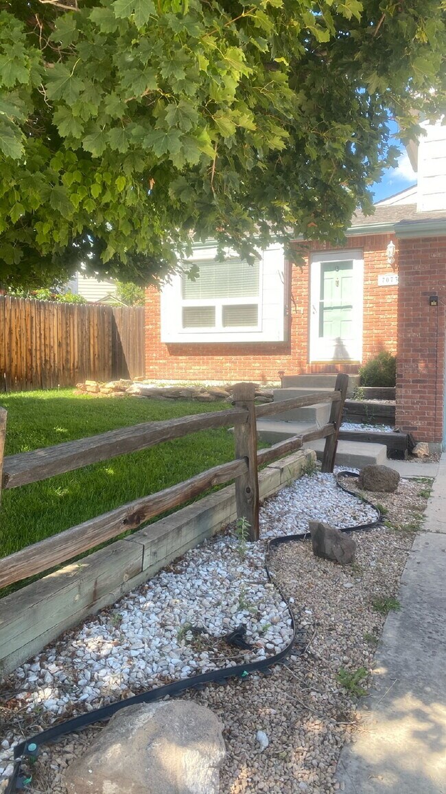 Photo - Westside White Buffalo