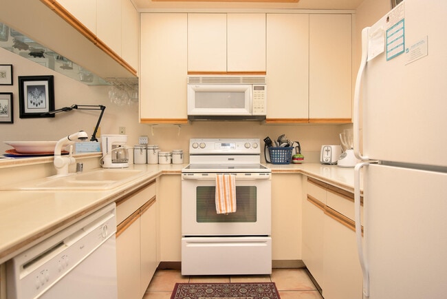 Photo - 28346 Desert Princess Dr