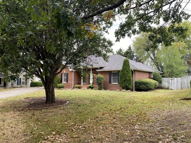 Photo - Coming Soon!