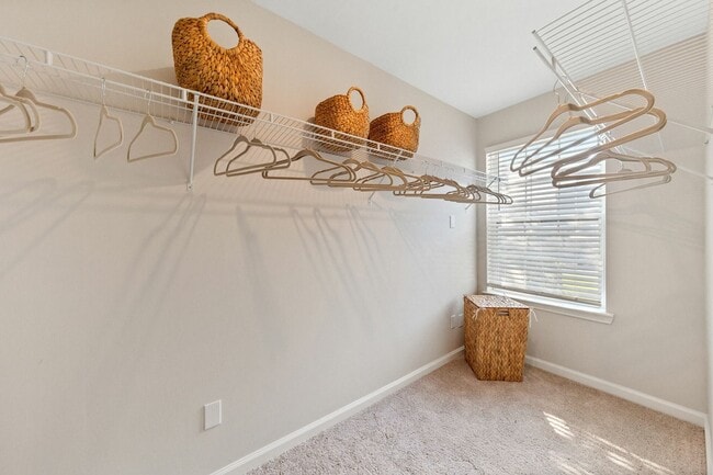Expansive Walk-In Closet with Window at Theater Street Apartments