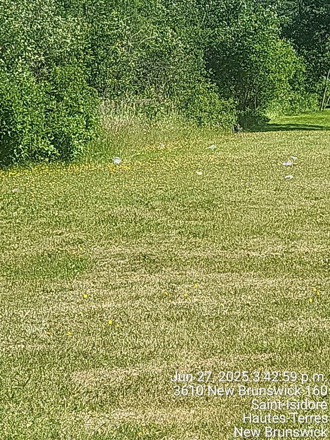 Photo - 4-3614 NB-160 Unit 4