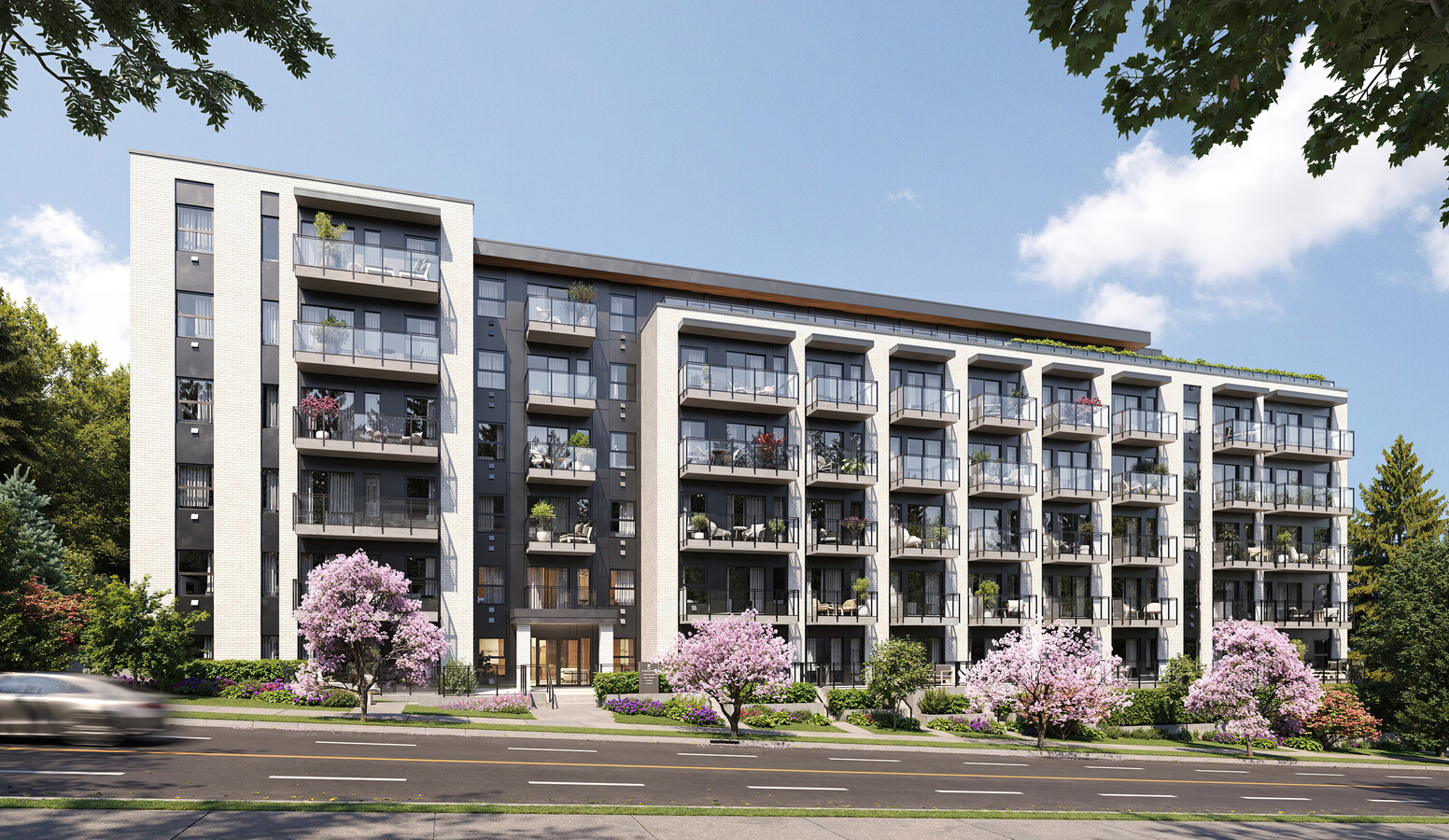 The Collingwood - The Collingwood