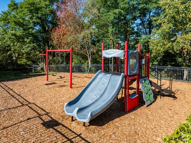 Club Apex - Playground