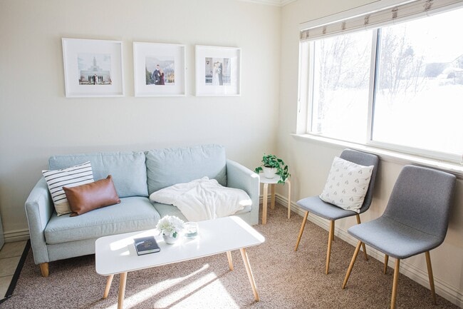 University Courtyard - University Courtyard