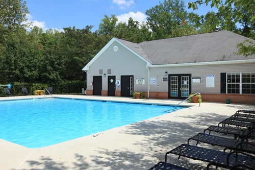 Sparkling Swimming Pool