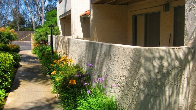 Photo - Black Mountain Villas