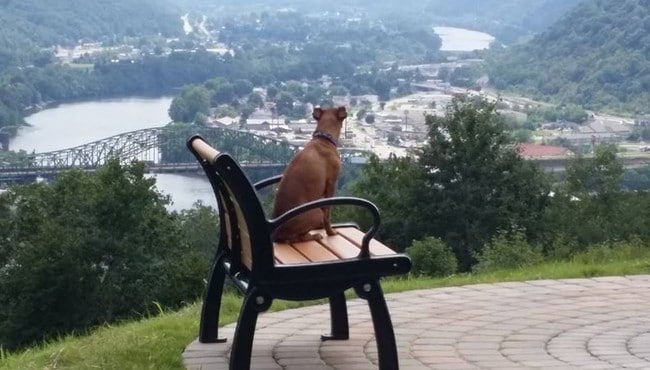 Photo - Eagle View Luxury Apartments