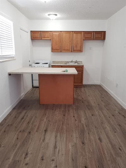 Photo - Buena Ventura