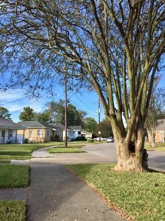 Photo - 508 Julius Ave