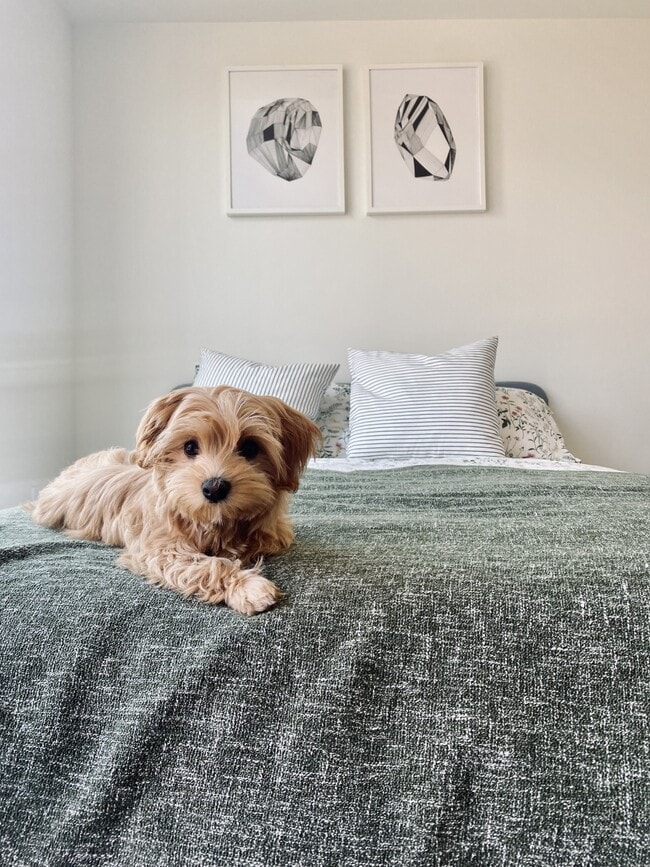 Photo - Ori Stone Way Apartments