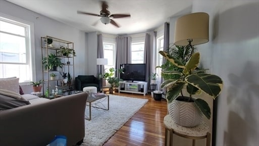Building Photo - 46 Brookley Rd Rental