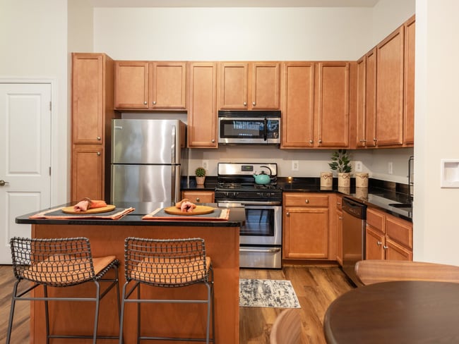 Apartment Kitchen