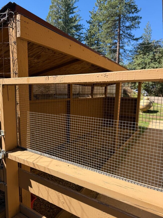 Photo - Pioneer Home