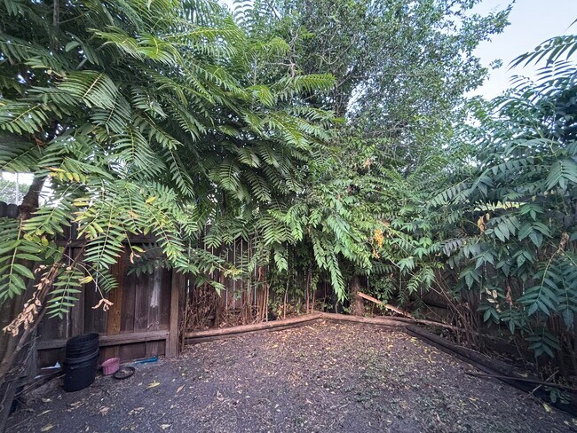 Building Photo - 12803 High Star Dr