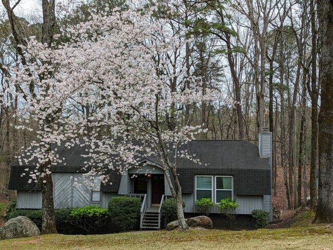 Spring Blooms! - 2456 Burgundy Dr House