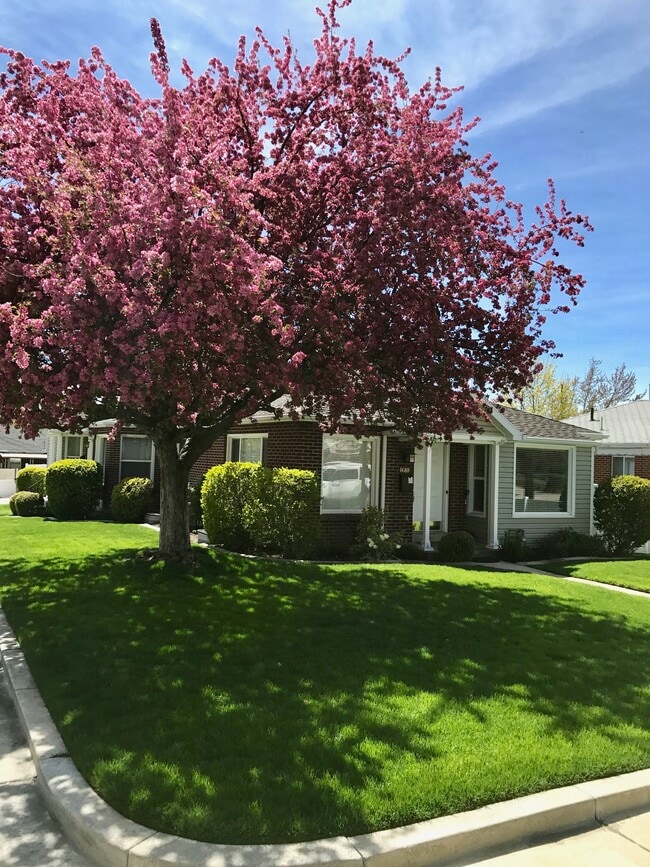 Photo - 1688 Blaine Ave Unit BSMT