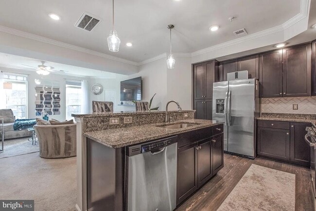 42213 Piebald Square