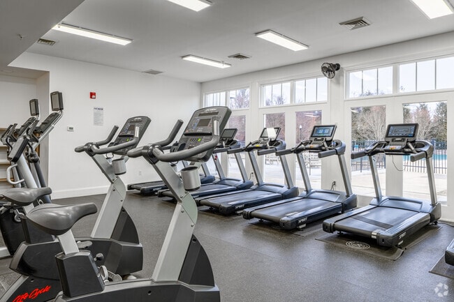 Gimnasio