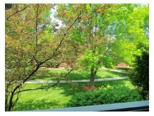Photo - 121 Cluff Crossing Rd Unit Apt 24