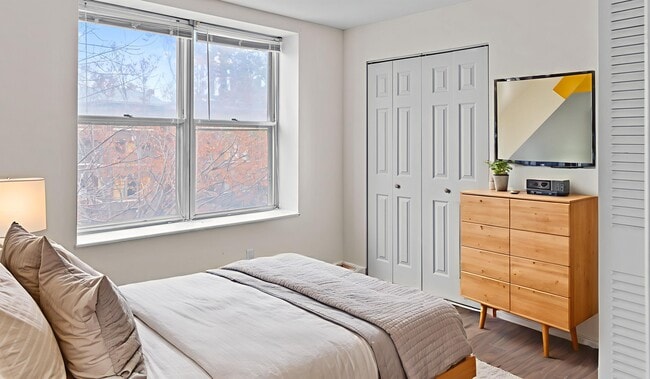 Dormitorio Park Lux