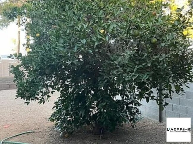 Building Photo - E Avalon Dr