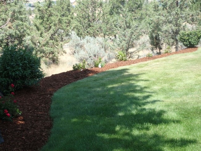 Photo - Executive Suite/Vacation/Short Term Rental...