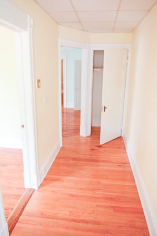 As you walk in, you'll find freshly painted walls, a coat closet and beautiful hardwood floors throughout the apartment. - 675 Spring Garden St