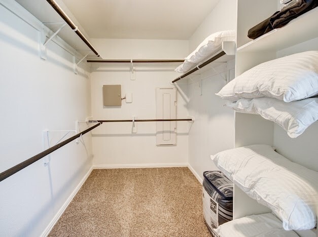 Photo - 1646 Ryon Falls Dr