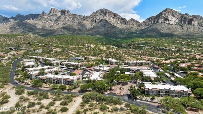 Building Photo - 1500 E Pusch Wilderness Dr Unit 6102