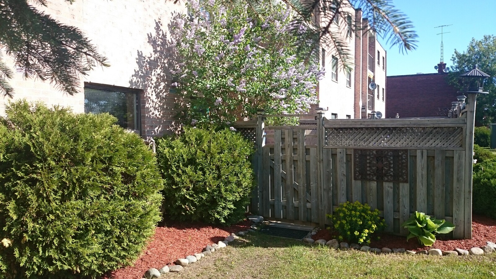 Photo - 15 Wellington Road 124