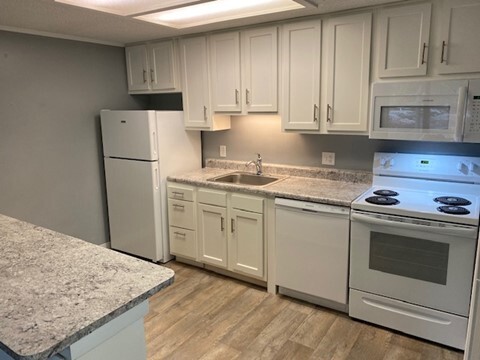 Beautiful renovations! - Willowood Apartments