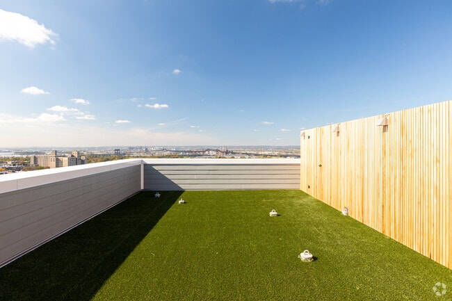 Dog Park - 55 Jordan