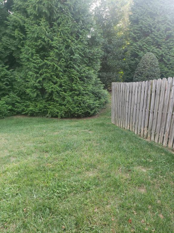 Photo - 311 Daniels Dr