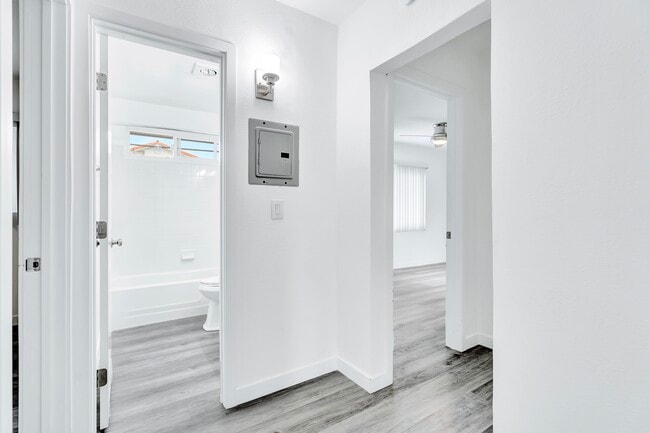 Photo - Palm View Village Hawthorne