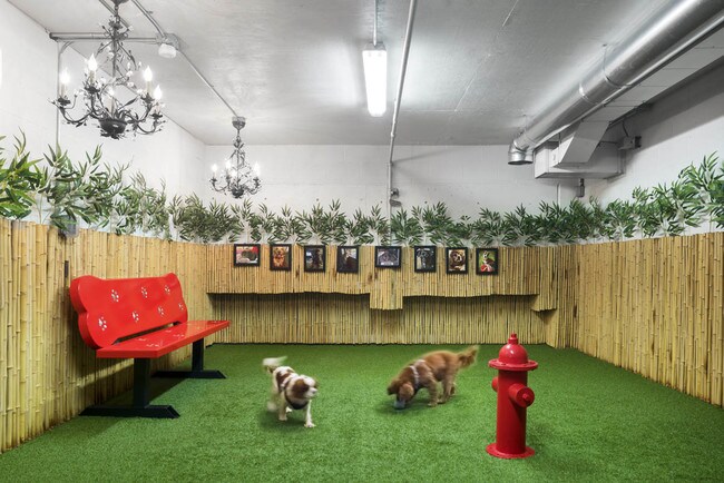 Indoor Hot Dogs Dog Park
