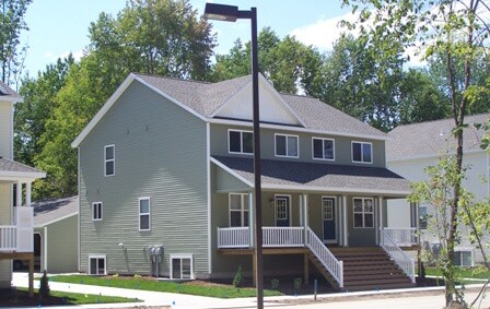 Photo - Mystic Woods