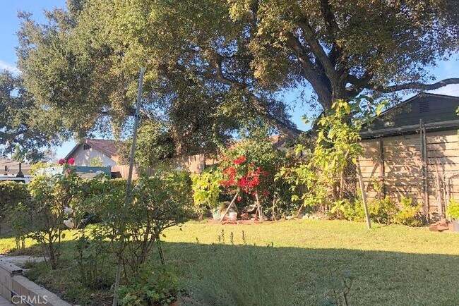 Photo - 7003 St Estaban St