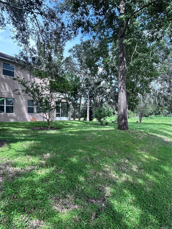 Photo - 1531 McCrea Dr