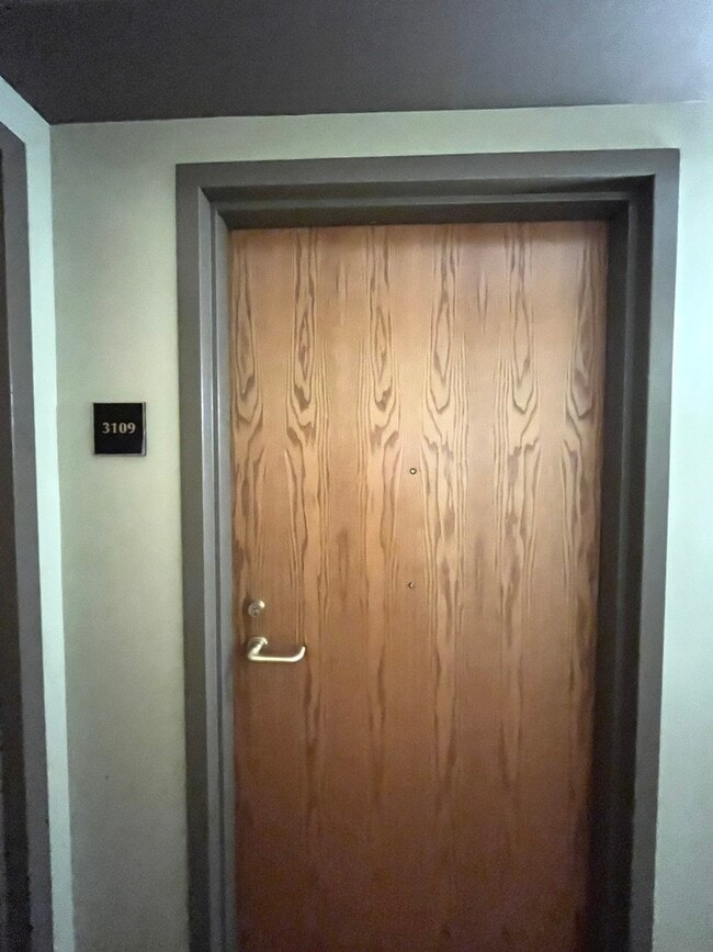 Photo - 345 N La Salle Dr Unidad 3109